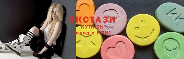 крисы Богородицк