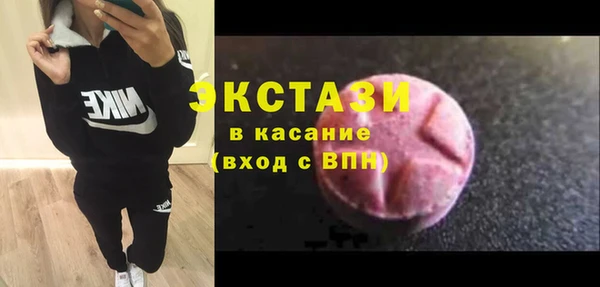 крисы Богородицк