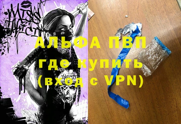 стафф Бородино
