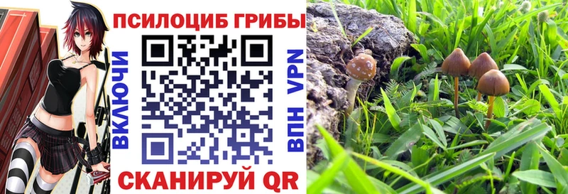 ссылка на мегу зеркало  Данков  Псилоцибиновые грибы Psilocybine cubensis 